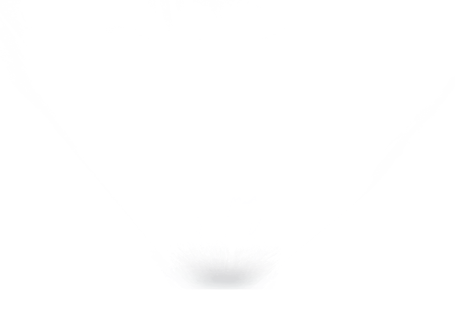 light1